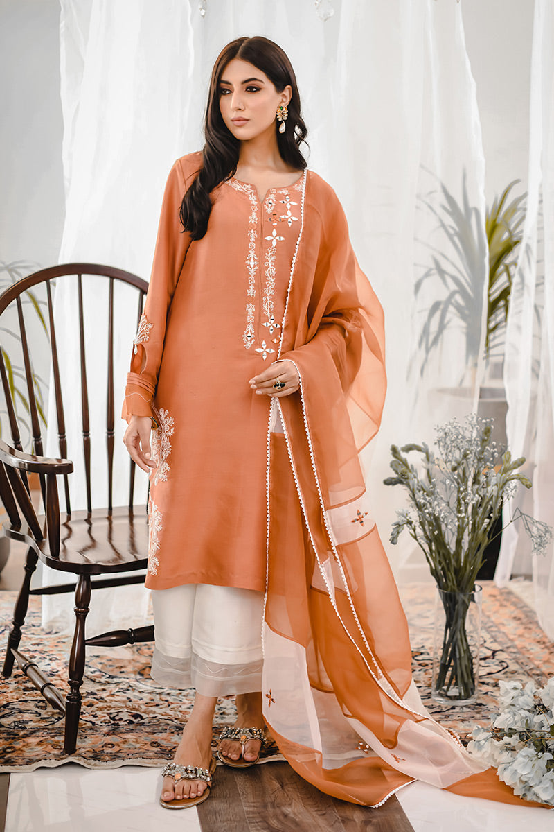 Rust Embroidered Raw Silk Salwar Kameez (3-Piece) - Image 6
