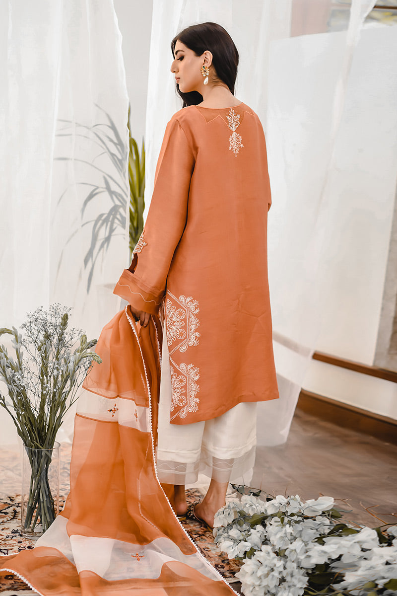 Rust Embroidered Raw Silk Salwar Kameez (3-Piece) - Image 7
