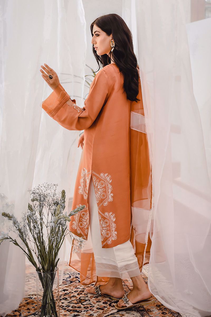 Rust Embroidered Raw Silk Salwar Kameez (3-Piece) - Image 9