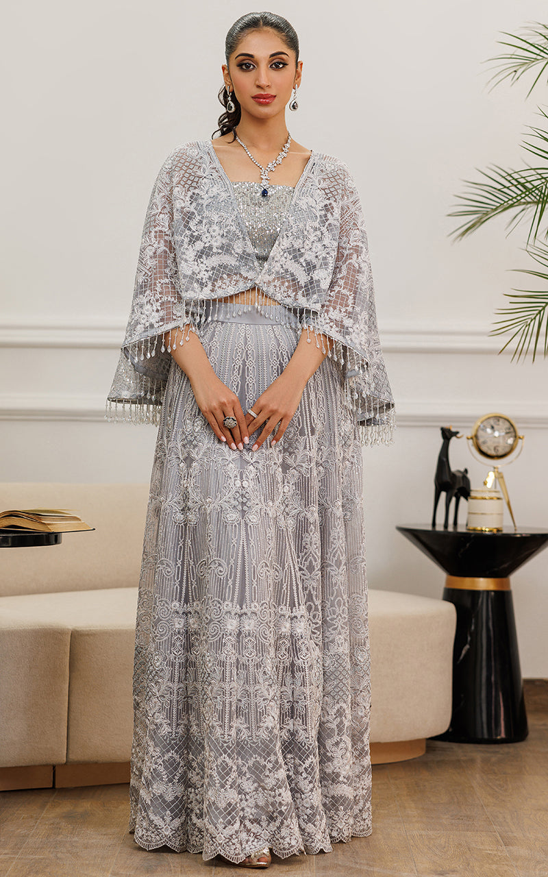 Silver Embroidered Net Cape Dress (2-Piece) - Image 1