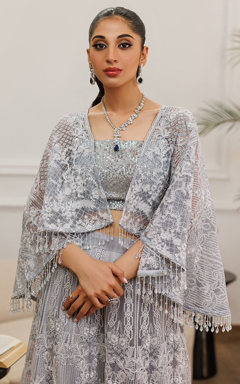 Silver Embroidered Net Cape Dress (2-Piece) - Image 2