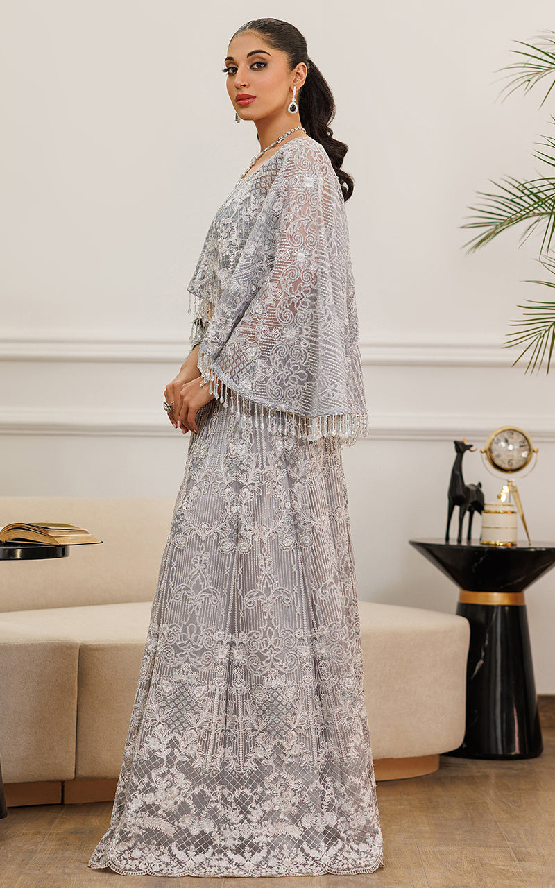 Silver Embroidered Net Cape Dress (2-Piece) - Image 3