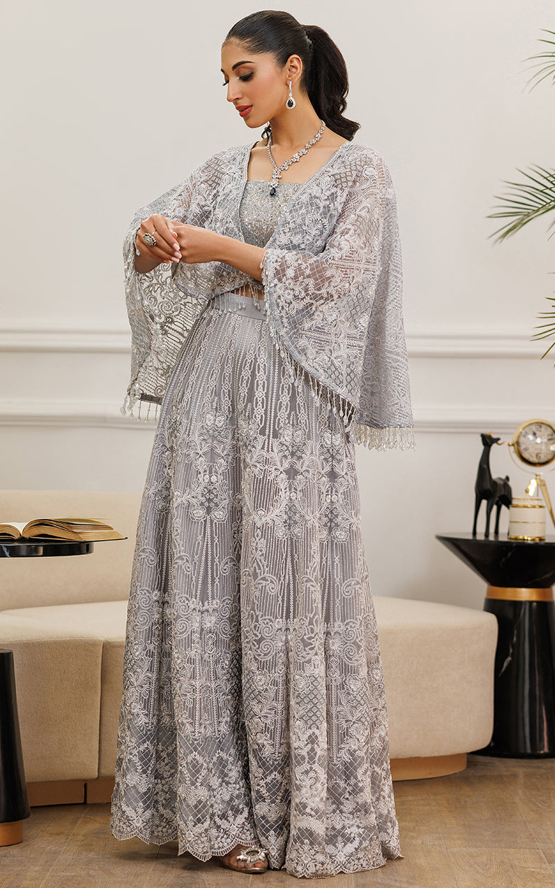 Silver Embroidered Net Cape Dress (2-Piece) - Image 4