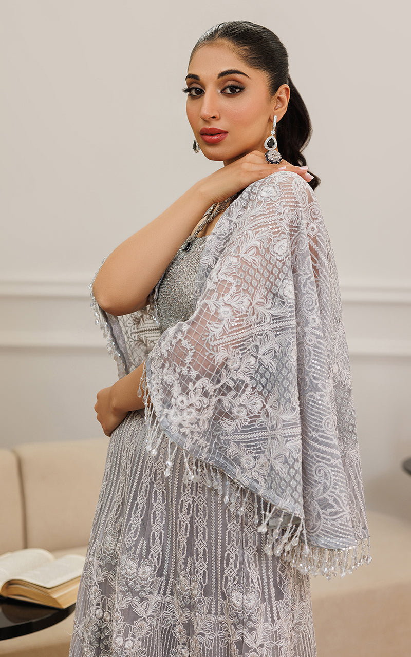 Silver Embroidered Net Cape Dress (2-Piece) - Image 5