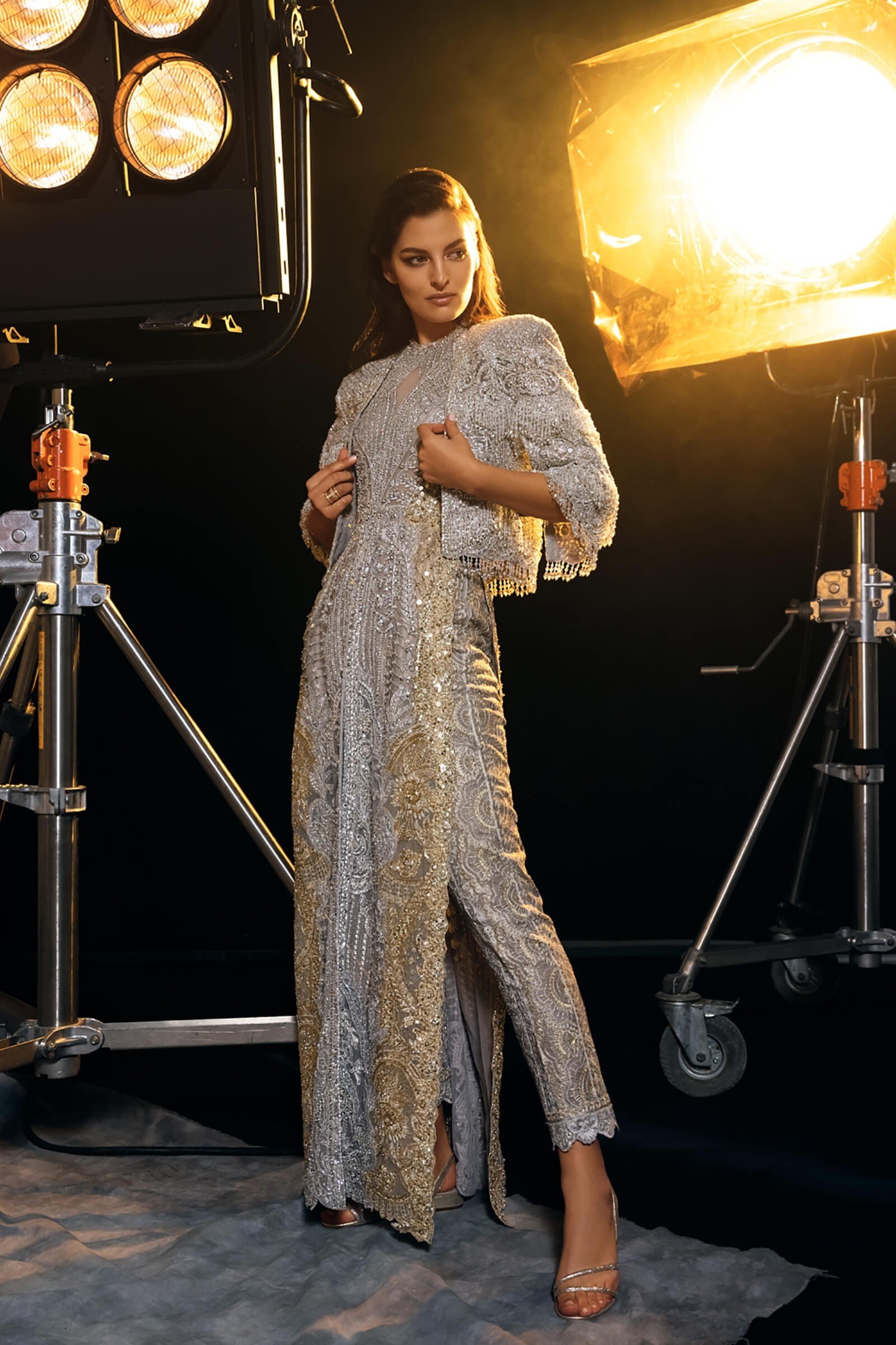 Silver Gold Embellished Net Cape Dress (1-Pc) - Image 1