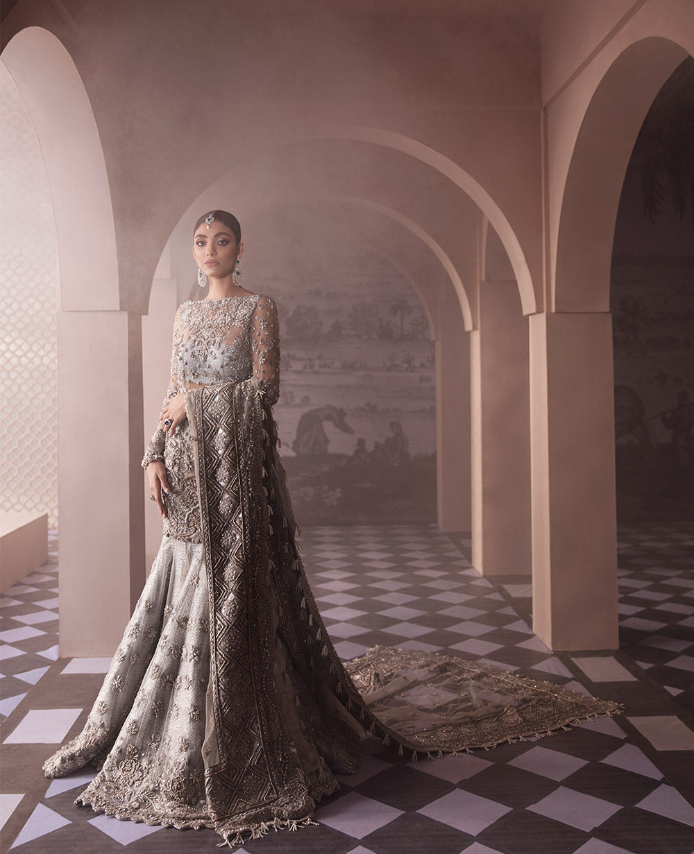 Pakistani Silver Grey Embellished Net Gown (2-Piece) - Image 4