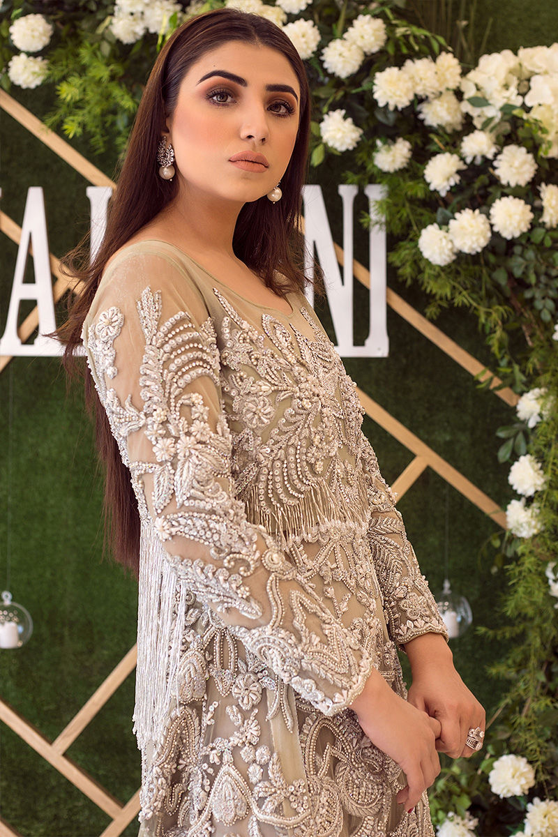 Silver Grey Embellished Net Bridal Gown (1-Pc) - Image 4