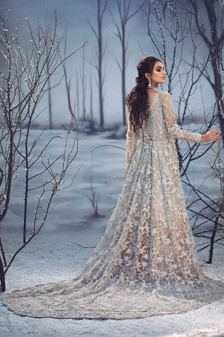 Pakistani Silver Embroidered Net Gown (2-Piece) - Image 3