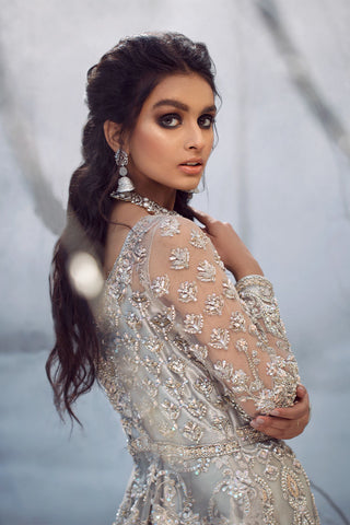 Pakistani Silver Embroidered Net Gown (2-Piece) - Image 4