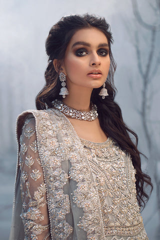 Pakistani Silver Embroidered Net Gown (2-Piece) - Image 5