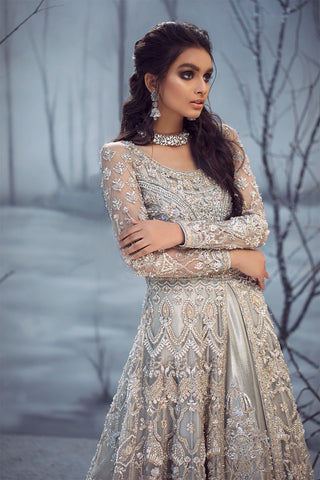 Pakistani Silver Embroidered Net Gown (2-Piece) - Image 6