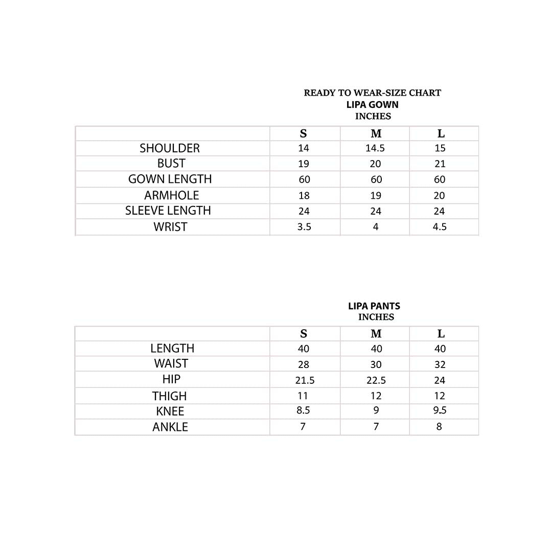 Silver Grey Embroidered Net Gown (2-Piece) - Image 5