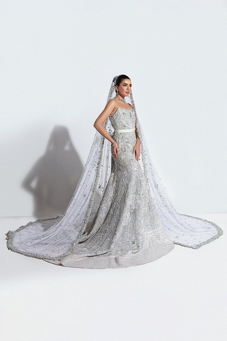 Pakistani Silver Embroidered Net Bridal Gown (2-Piece) - Image 1