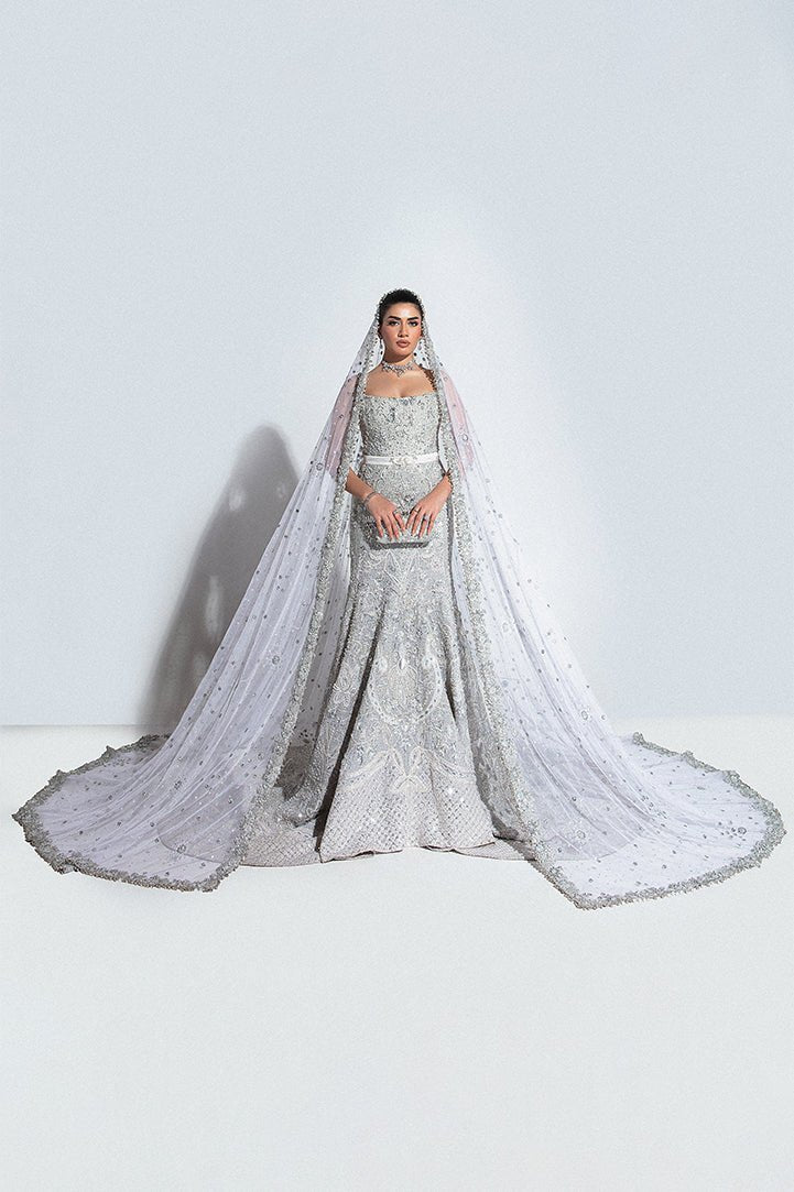 Pakistani Silver Embroidered Net Bridal Gown (2-Piece) - Image 3