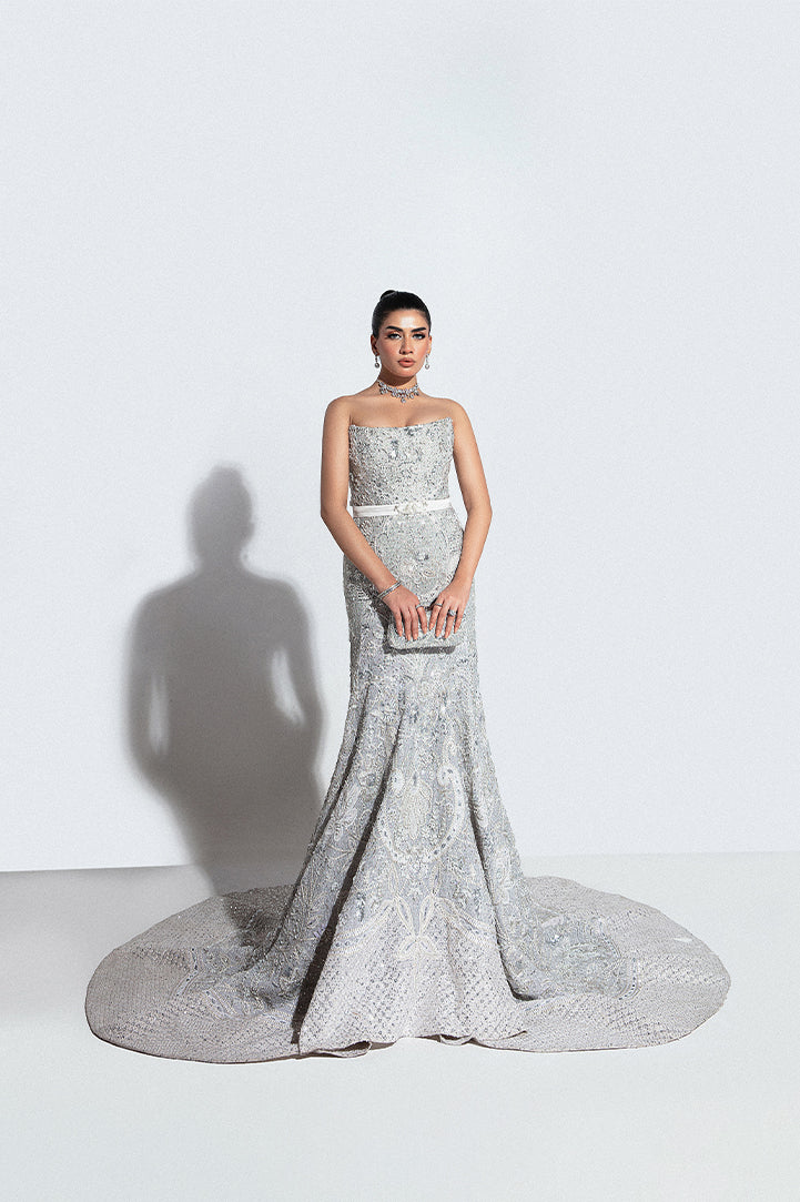 Pakistani Silver Embroidered Net Bridal Gown (2-Piece) - Image 6