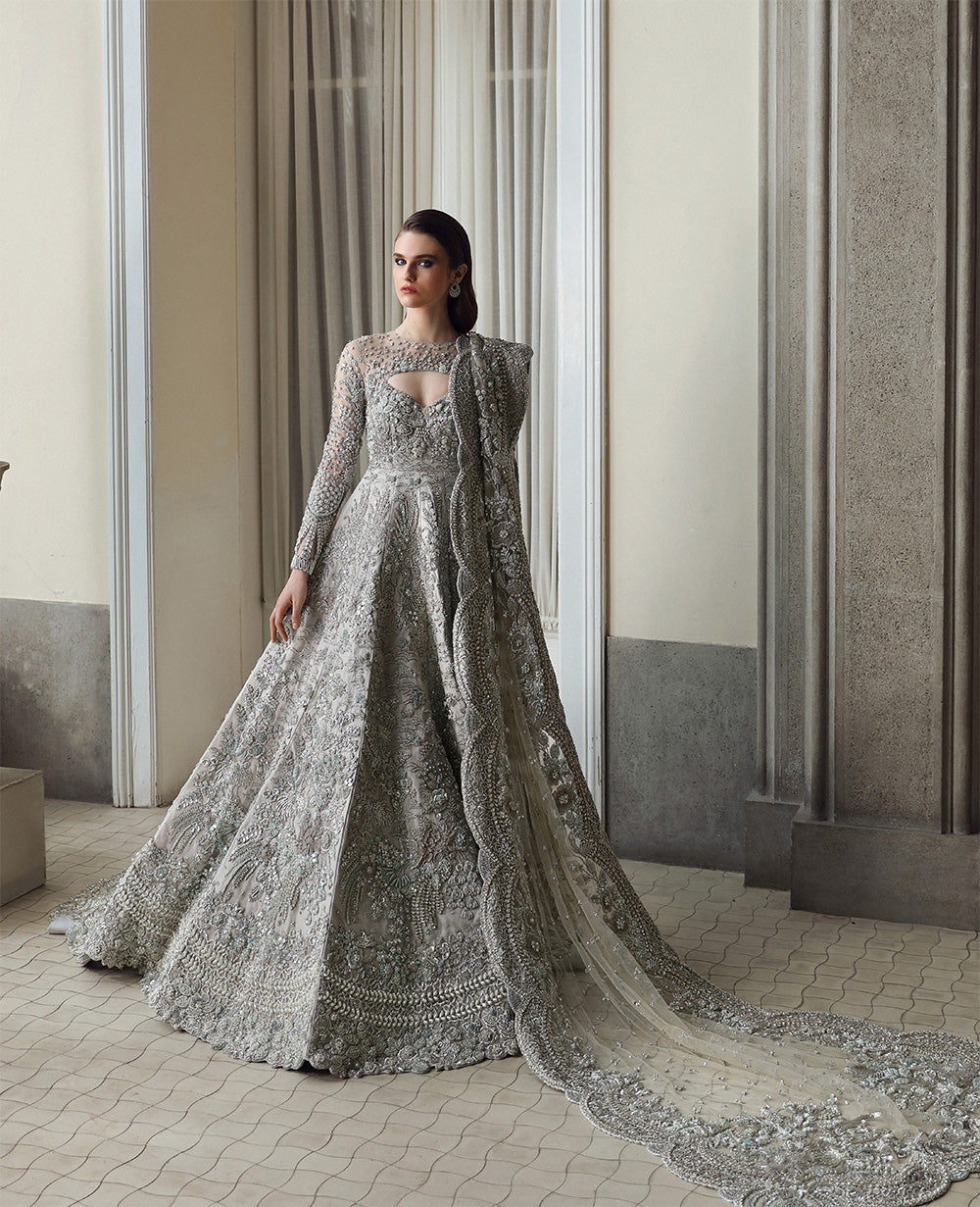 Pakistani Pastel Silver Embellished Net Gown (2-Piece) - Image 1