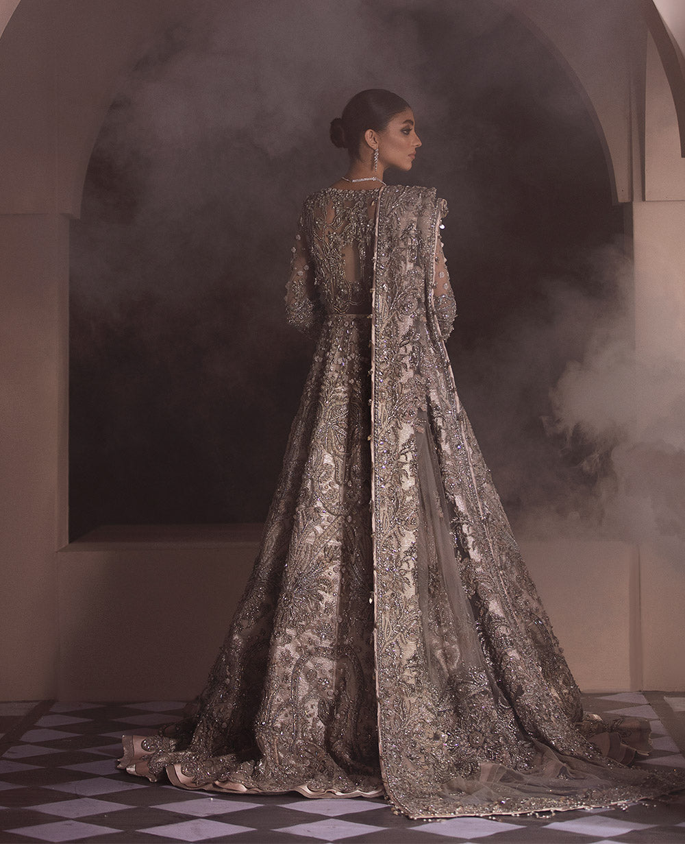 Champagne Silver Embellished Net Bridal Gown (2-Piece) - Image 4