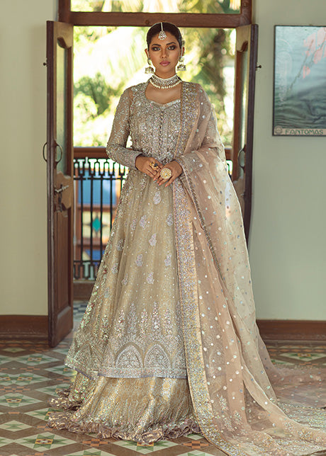 Pakistani Silver Zardozi Organza Gown with Lurex Lehenga (3-Piece) - Image 1