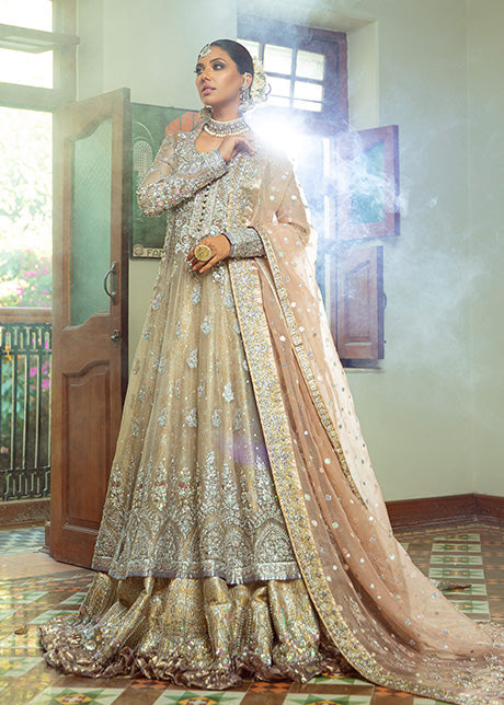 Pakistani Silver Zardozi Organza Gown with Lurex Lehenga (3-Piece) - Image 12