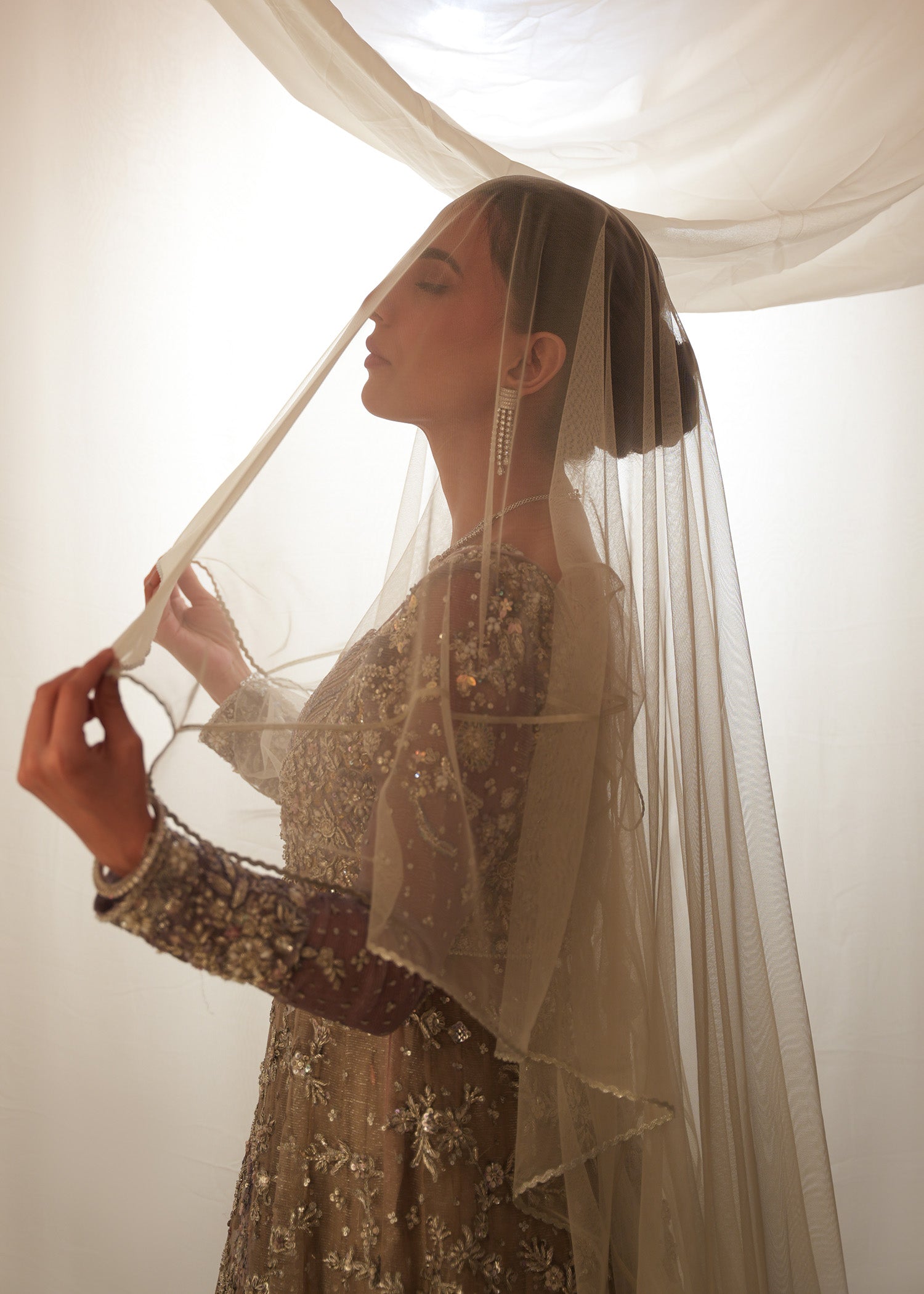 Pakistani Silver Cloud Embellished Silk Meysuri Gown (2-Piece) - Image 5