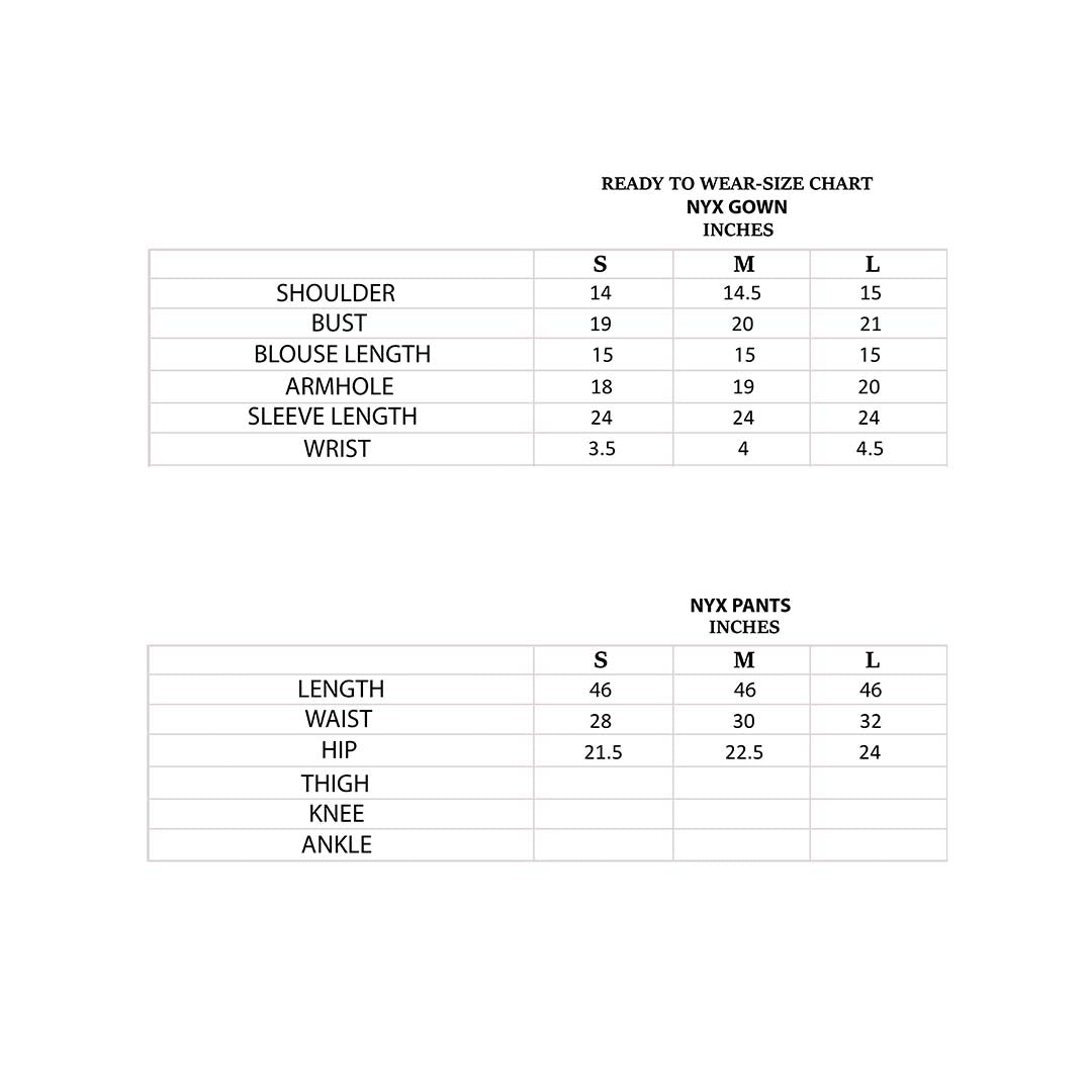 Pakistani Silver Embellished Metallic Lehenga Set (3-Piece) - Image 5