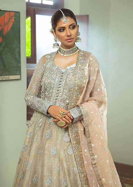 Silver Zardozi Organza & Lurex Lehenga (3-Piece) - Image 3