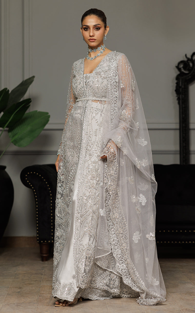 Silver Embroidered Net Silk Lehenga Dress (3-Piece) - Image 1