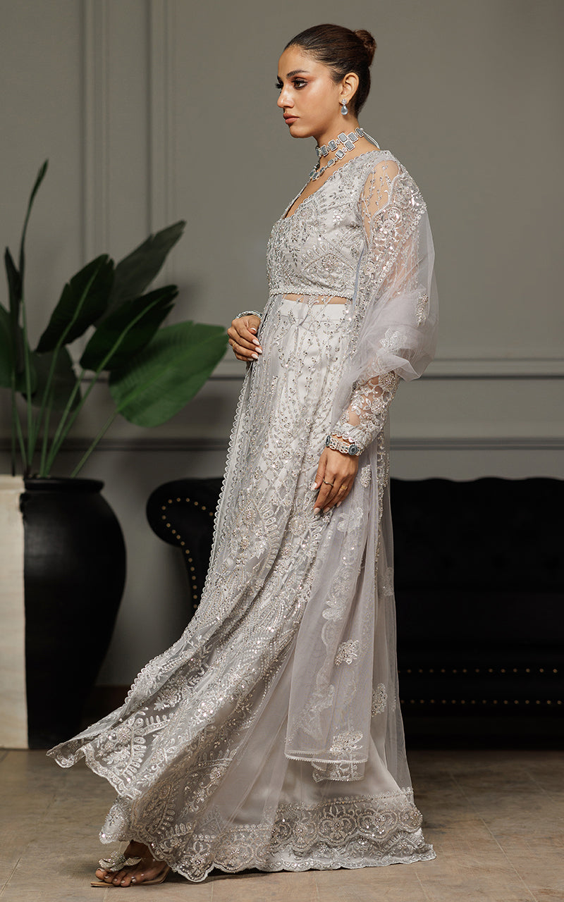 Silver Embroidered Net Silk Lehenga Dress (3-Piece) - Image 3