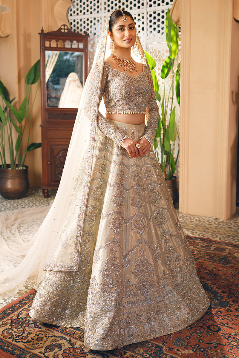 Pakistani Silver Embroidered Tissue Lehenga Bridal Set (3-Piece) - Image 1
