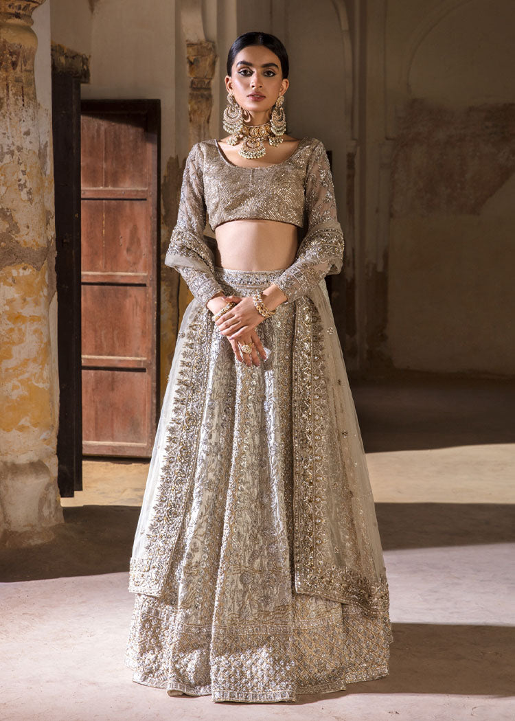 Silver Embroidered Net & Tissue Lehenga Choli (3-Piece) - Image 1
