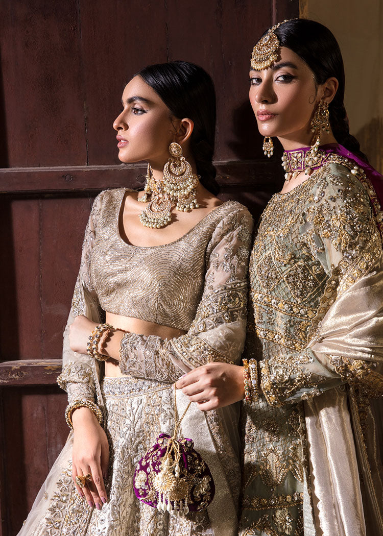 Silver Embroidered Net & Tissue Lehenga Choli (3-Piece) - Image 2