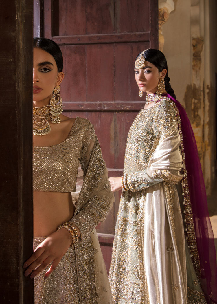 Silver Embroidered Net & Tissue Lehenga Choli (3-Piece) - Image 3