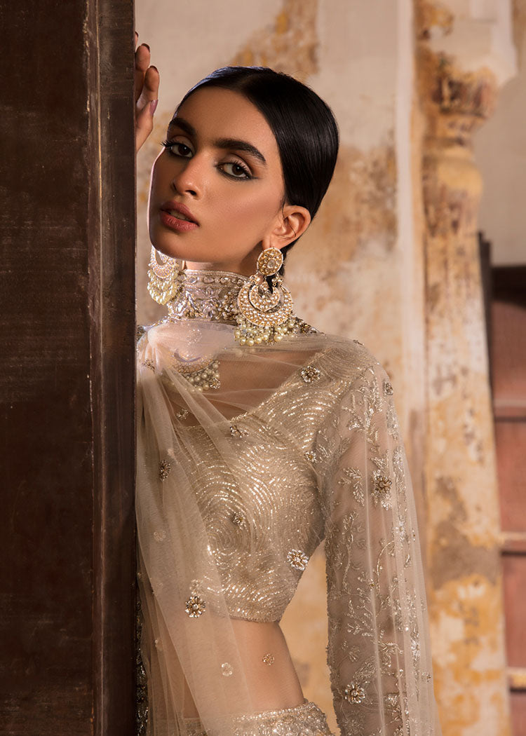 Silver Embroidered Net & Tissue Lehenga Choli (3-Piece) - Image 6