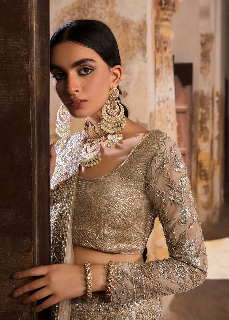 Silver Embroidered Net & Tissue Lehenga Choli (3-Piece) - Image 7