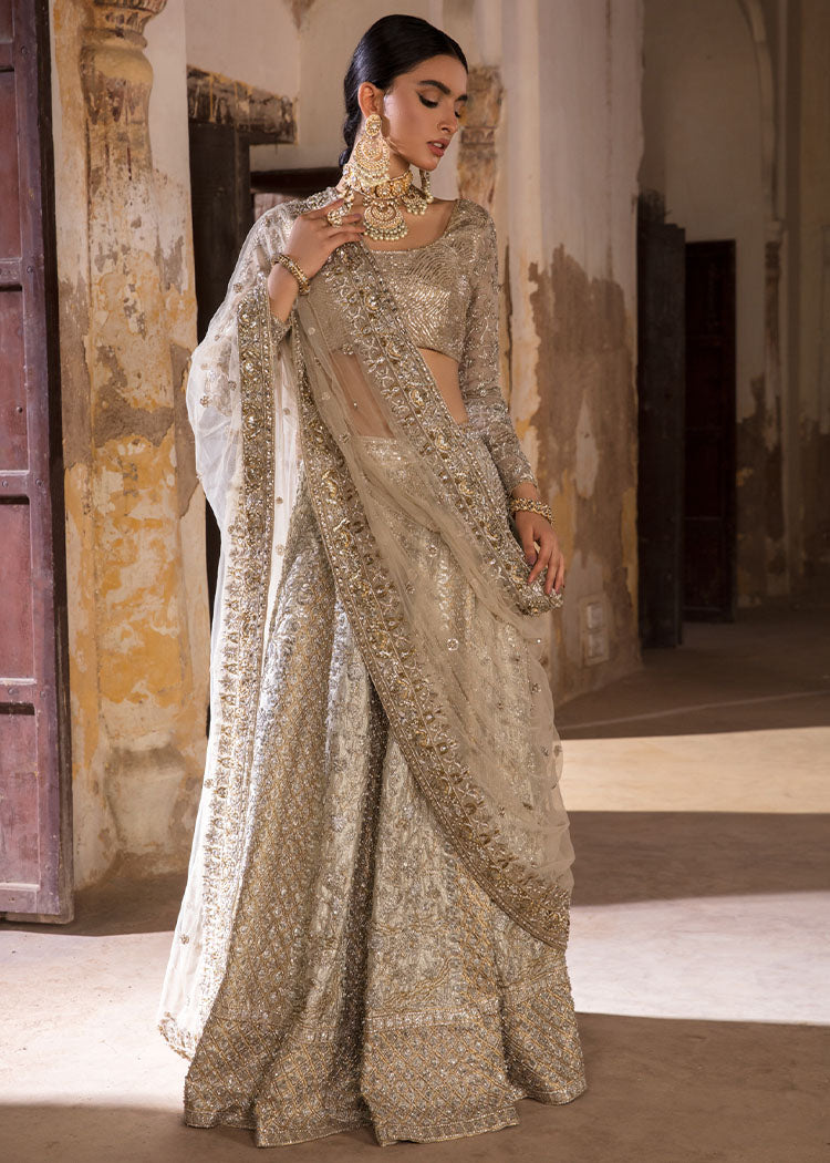 Silver Embroidered Net & Tissue Lehenga Choli (3-Piece) - Image 9