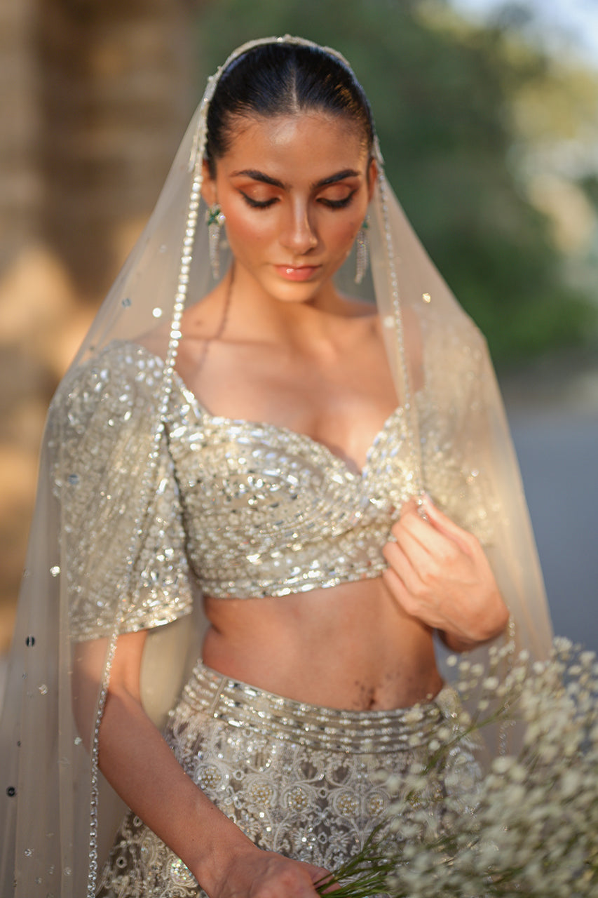 Pakistani Silver Zardozi Tissue Lehenga Choli (3-Piece) - Image 14