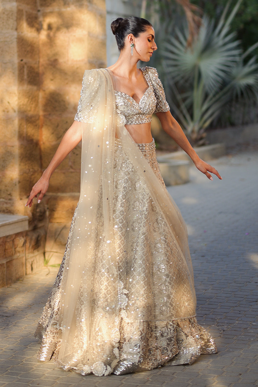 Pakistani Silver Zardozi Tissue Lehenga Choli (3-Piece) - Image 18