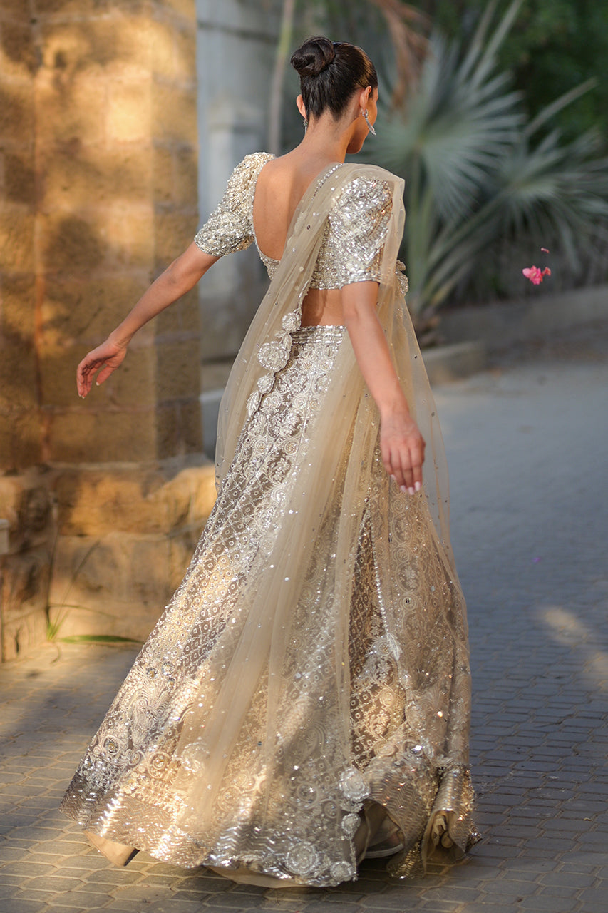 Pakistani Silver Zardozi Tissue Lehenga Choli (3-Piece) - Image 19