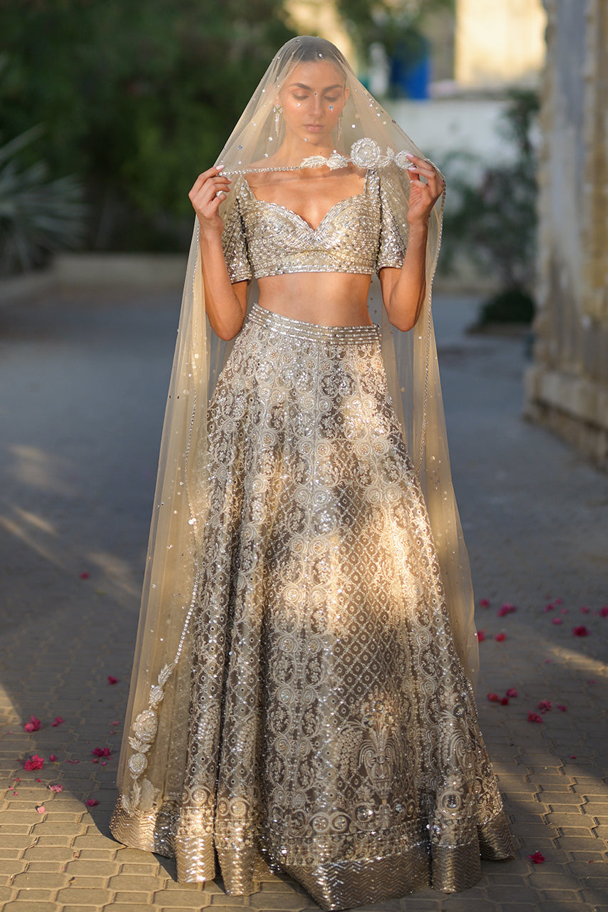 Pakistani Silver Zardozi Tissue Lehenga Choli (3-Piece) - Image 21