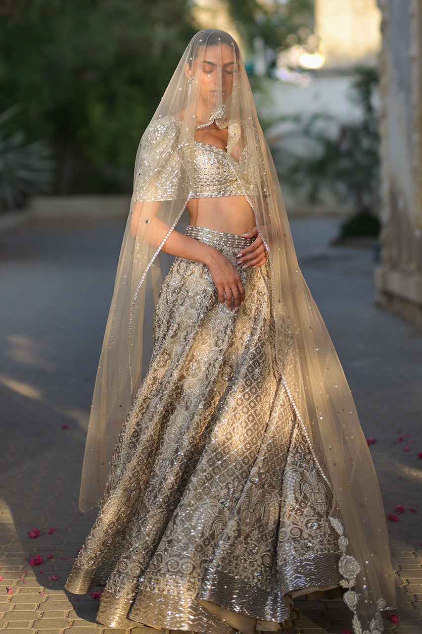 Pakistani Silver Zardozi Tissue Lehenga Choli (3-Piece) - Image 22