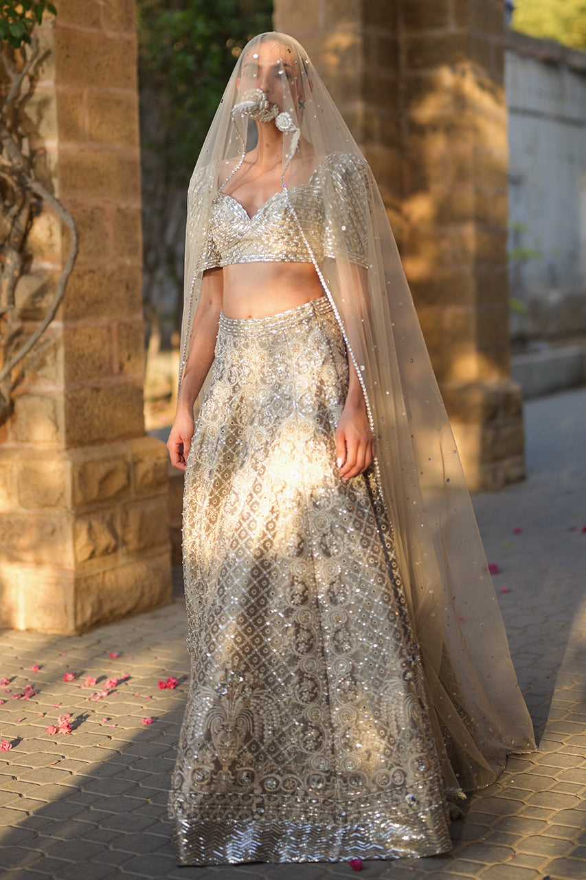 Pakistani Silver Zardozi Tissue Lehenga Choli (3-Piece) - Image 24