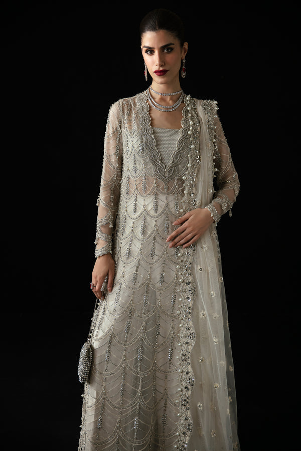 Silver Embellished Organza & Net Salwar Kameez (3-Piece) - Image 3