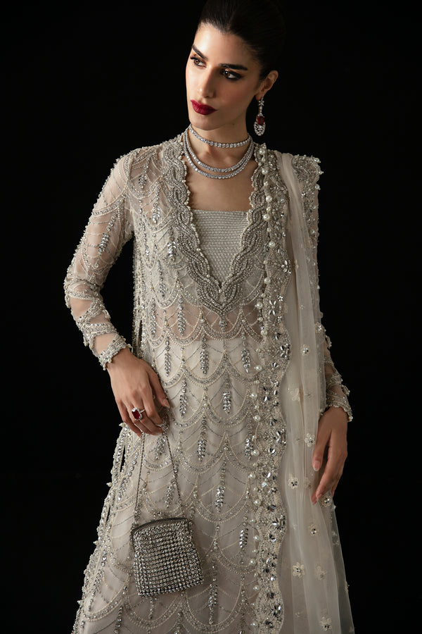 Silver Embellished Organza & Net Salwar Kameez (3-Piece) - Image 4