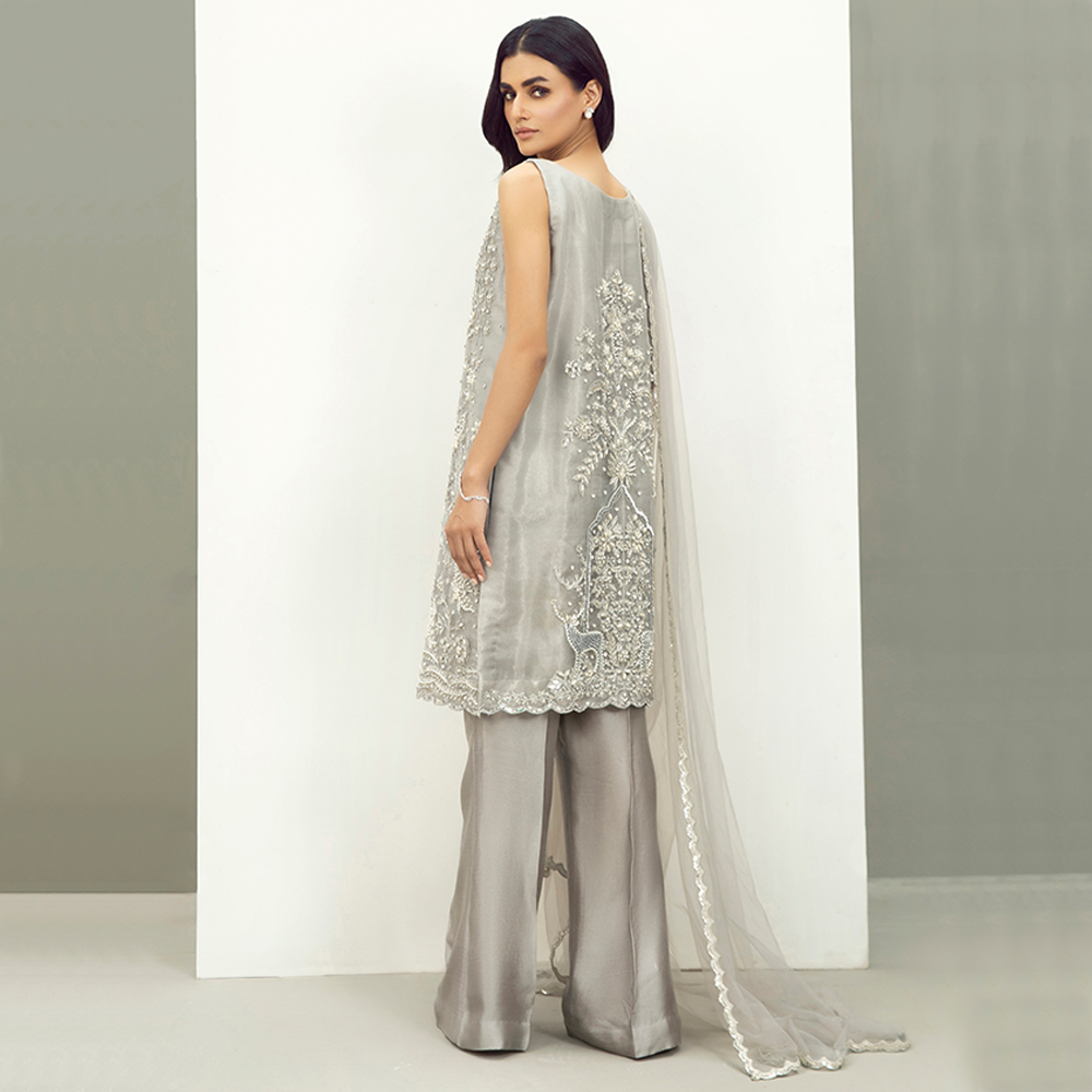 Silver Embellished Organza & Tissue Salwar Kameez (3-Piece) - Image 6