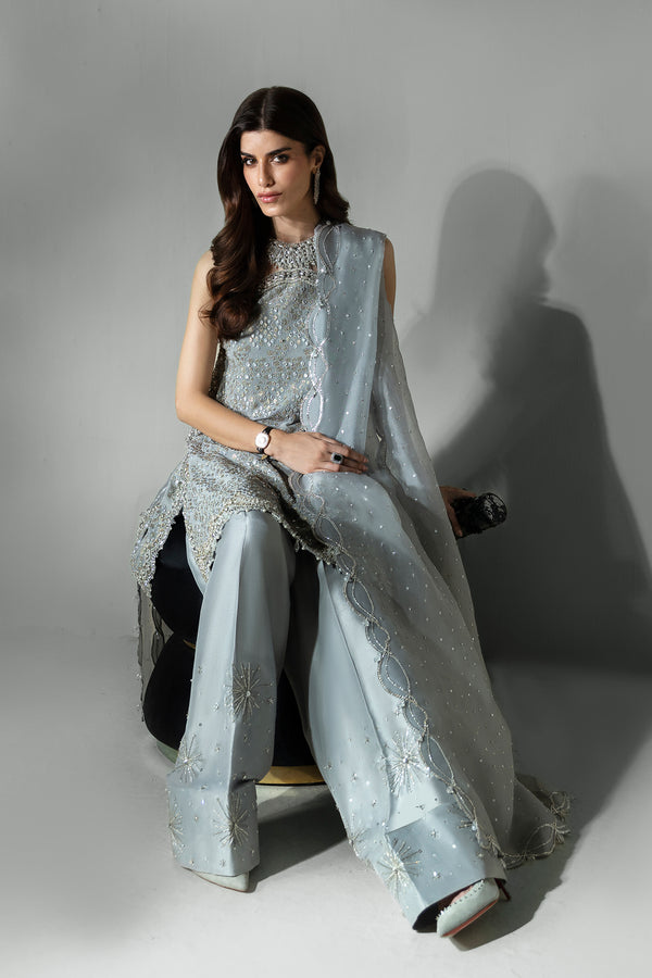 Silvery-Grey Embellished Chiffon Organza Salwar Kameez (3-Piece) - Image 6