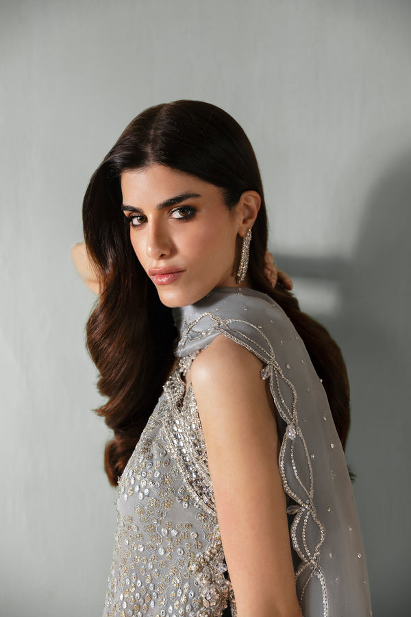 Silvery-Grey Embellished Chiffon Organza Salwar Kameez (3-Piece) - Image 7