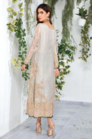 Pakistani Silver Embroidered Tissue Salwar Kameez (3-Piece) - Image 4