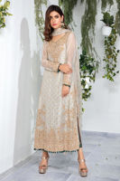 Pakistani Silver Embroidered Tissue Salwar Kameez (3-Piece) - Image 5