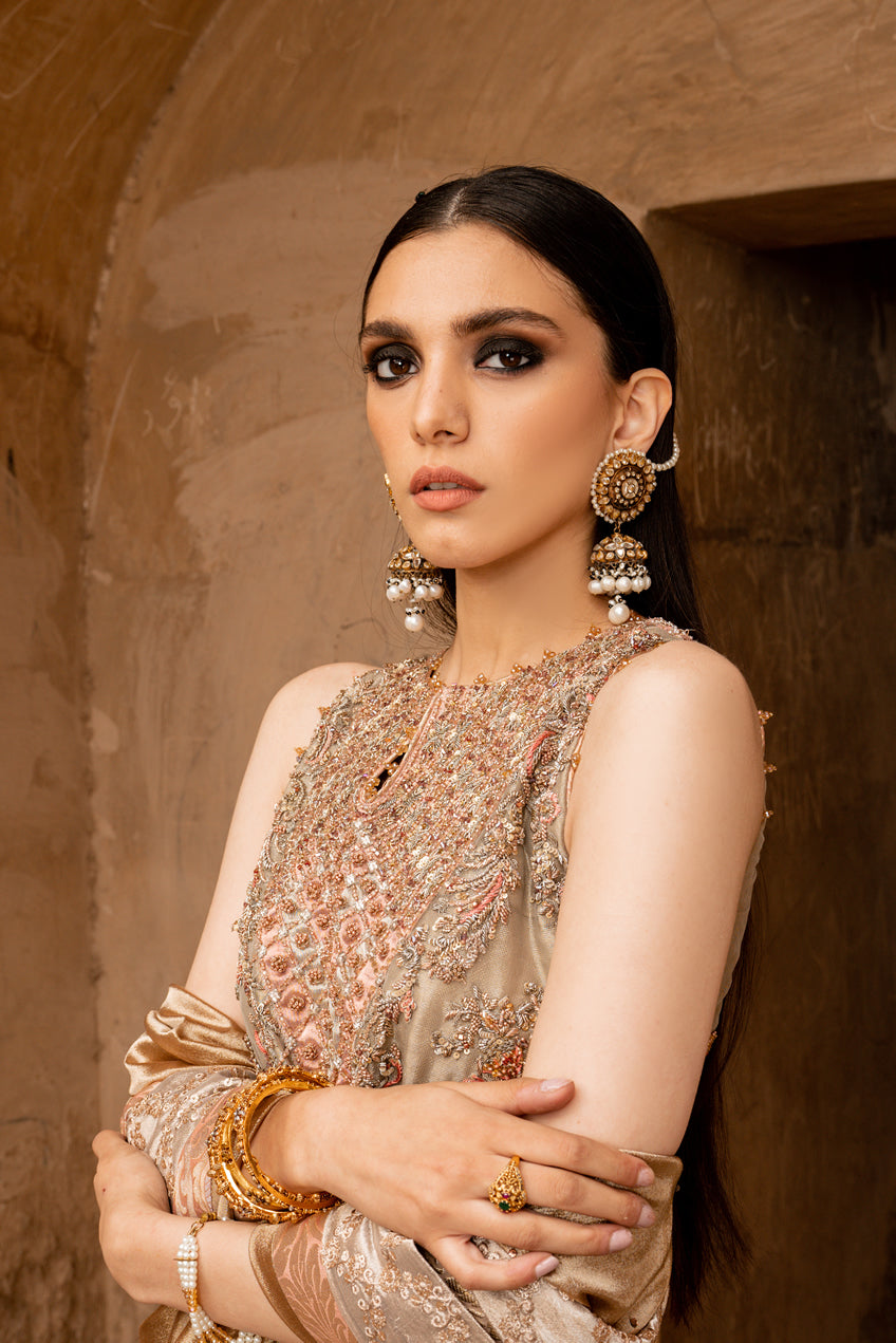 Silver Blush Pink Embroidered Tissue Kameez (3-Piece) - Image 4