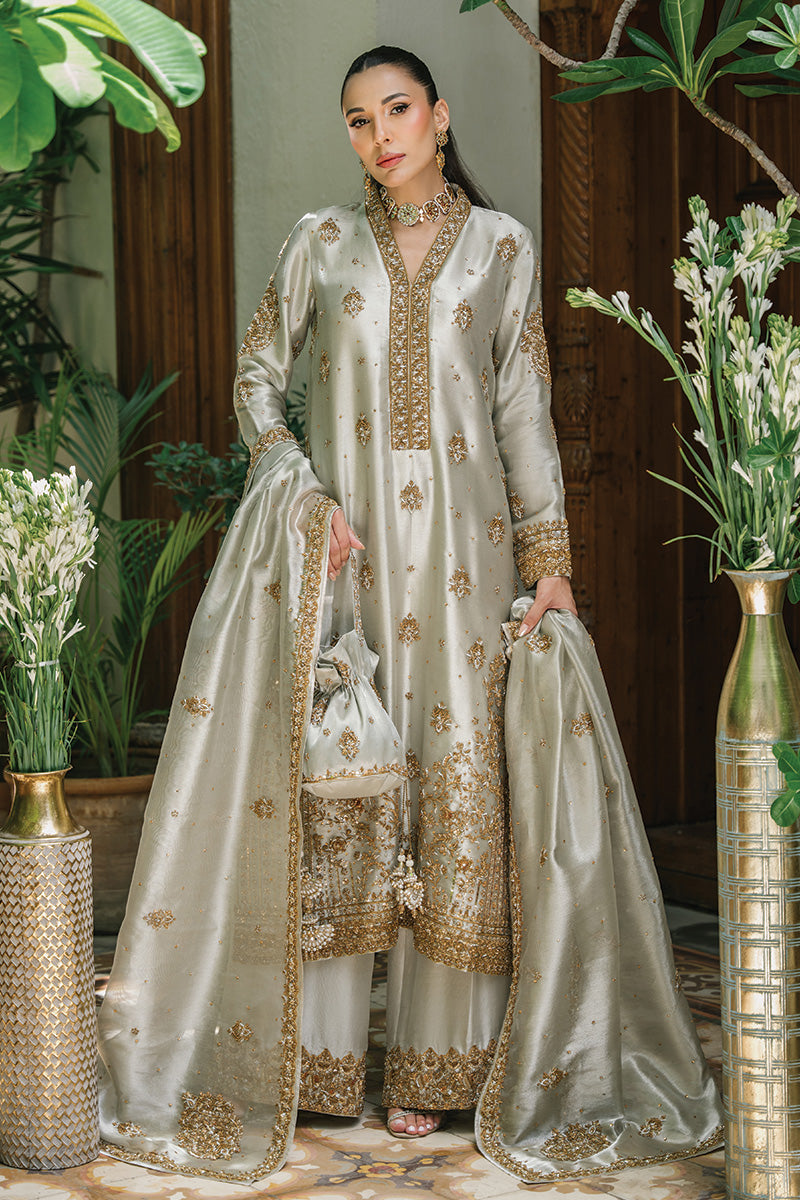 Silver-Grey Embellished Tissue & Raw Silk Salwar Kameez (3-Piece) - Image 1